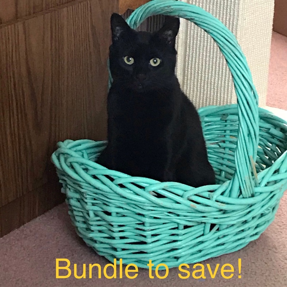 Bundle to Save!